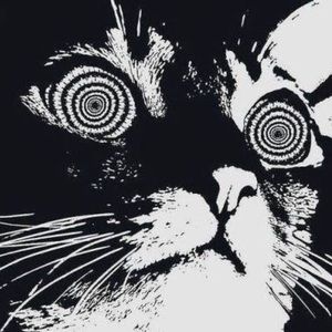 Meet your Posher, Flofflemuffins